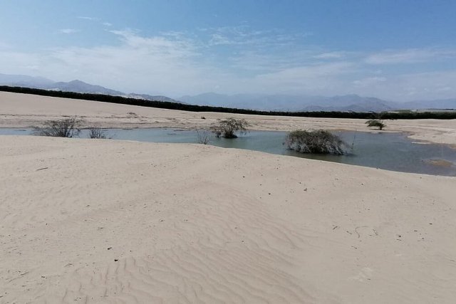 Recarga artificial del acuífero en el valle de Ica